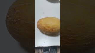 Big melon #viral #trending #youtubeshorts #shorts #short #new #melon #cocomelon #shortstrending