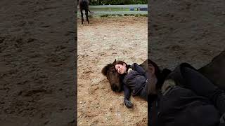 Extraordinary Relationship Between Horse and Trainer #horse #love