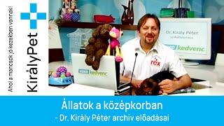 Állatok a középkorban