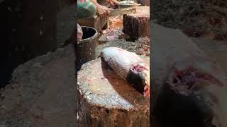 Big Rohu Fish Cutting Skills By Expert Fish Cutter #shorts #fishcuttingskills