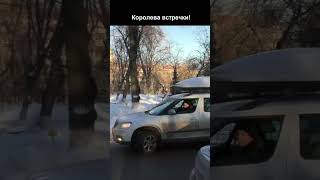 - Убери камеру! Яжмать на встречке!