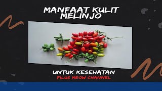 Manfaat Kulit Melinjo untuk Kesehatan