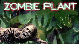 Zombie takeover, do zombie plants play dead?