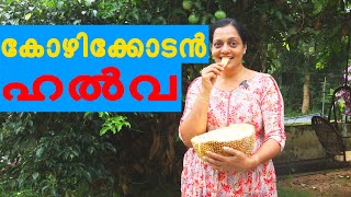 JACK FRUIT  ചക്ക Kerala Special Food Item | Jilu Sithara | Earth Vibes