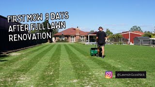 FIRST MOW 9 DAYS AFTER FULL LAWN RENOVATION // Welcome to Lawns In Good Nick