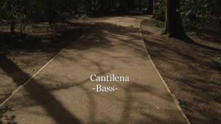 Cantilena  - Bass