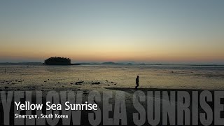 [4K] Yellow Sea Sunrise - Drone Shot 신안 증도(쇠소리끝) 일출 드론