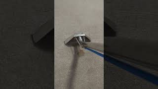 Carpet Cleaning Is A Poopy Job