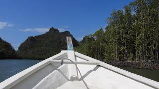 Langkawi Mangrovenwald