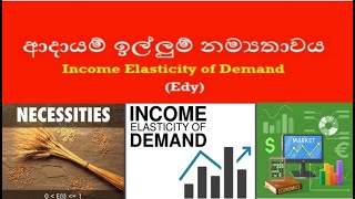 Income Elasticity of Demand