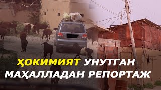 Ҳокимият унутган маҳалладан репортаж