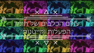 מופע - עולם הכלבים של תומר