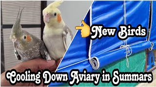 Garmi m Setup ko Thanda Rkhne Ka Kaam Ho Gya || Got New Tamed Cockatiels || All About Pets