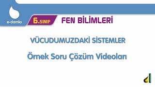 6. Sınıf Fen Bilimleri - 2. Ünite Vücudumuzdaki Sistemler Örnek Soru Çözümleri