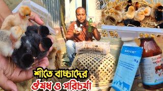 শীতে মুরগির বাচ্চা পালন পদ্ধতি || পরিচর্যা ও ঔষধ || মুরগির বাচ্চার খাবার || Nur Bhai