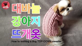 [써니의실노리]대바늘 탑다운 강아지옷 뜨개 꽈배기 니트만들기ㅣ모든 사이즈 가능ㅣHow to knitting a dog TOP-DOWN sweater ㅣ반려견 반려묘 뜨개옷