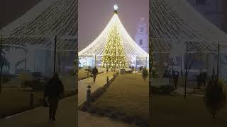 Happy New Year 2022 Christmas tree, Russia #short #astrakhan