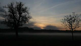 Nebel Zeitraffer - Abendstimmung