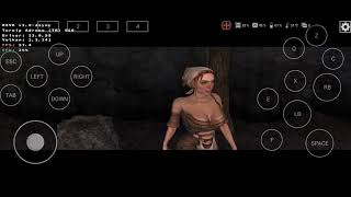 Bard's Tale (DXVK async 2.0 - Termux-X11) on multiwine 6.9 allmod (Snapdragon 888+)