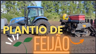 Segue o plantio do feijão/ trator Nh TL 75+plantadeira MF 409!!! feijão preto variedade urutau!!!