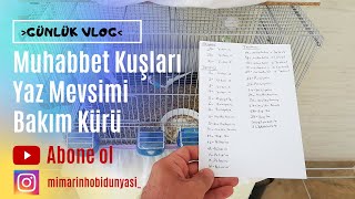 Yaz Dönemi Bakım Programımız Hazır | Hadi Başlayalım!!!