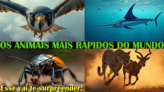 OS 10 ANIMAIS MAIS RÁPIDOS DO MUNDO