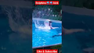 Dolphins🐬🐬 kick #dolphin #youtube #shorts