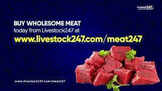 Meat247 Google Ad