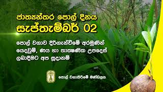 ජාත්‍යන්තර පොල් දිනය - සැප්තැම්බර් 02