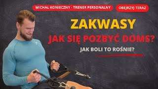 Zakwasy - jak sobie z nimi poradzić? | Jak powstają DOMSy? | Czy powinieneś trenować z zakwasami?