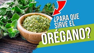 🌿 BENEFICIOS y PODERES MEDICINALES del ORÉGANO 🍃 INCREIBLES PROPIEDADES