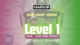 BEST OF EDM HITS 2015  →  LEVEL 1  - DJ HARVIE MR GREATNESS