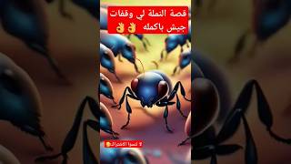 قصة النملة لي  وقفات جيش كامل  / اجمل ا لقصص الدينية  بالدارجة_المغربية#قصص د ينية #قصص الأنبياء