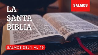 SALMOS 11 AL 19 (DÍA 150) LA SANTA BIBLIA || Biblia hablada ||