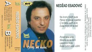 Nedzad Esadovic Necko - Dusa moja jos te zeli - (Audio 1997)  720p