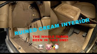 Filthy cream interior gets a makeover - disaster asmr detail Filthy Dirty S1 EP11