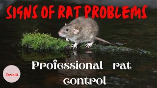 Signs of rat problems,How to keep away rats