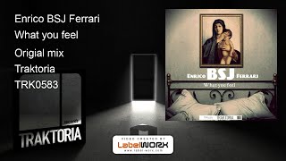 Enrico BSJ Ferrari - What you feel (Origial mix)