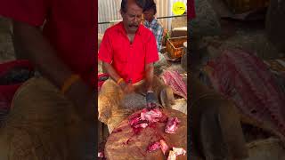 KASIMEDU VADIVELU FISH CUTTING VIDEO / cutting focus #bigfishcutting #bigfish #freshfish