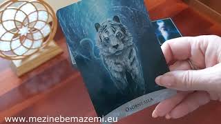 VZDUŠNÁ ZNAMENÍ- ♊BLÍŽENCI, ♎VÁHY, ♒VODNÁŘ- listopad 2021- výklad karet, výklad tarotu