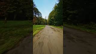 Chasing my shadow with FPV 🚁  in the late summer forrest🌲🌄 #shorts #fpv #drone #dji #nature