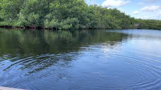 Everglades Fly Fishing Guide, Ren Stanley of www.serenityflyfishing.com Redfish Tarpon Snook