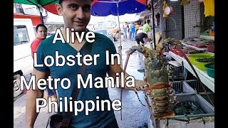 #Alive #Lobster In #DampaSea #MetroManila #Philippine