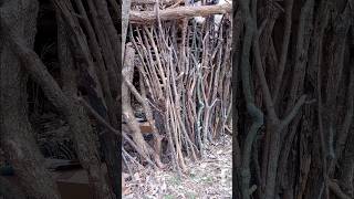 🪵 Nature is the Best Playground #woods #forest #fort #makingmemories #playhouse #imagination #sticks