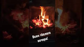 Всем доброго тёплого вечера #shorts