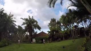 Bali Bird Park Part 2