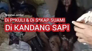 Detik-detik Evakuasi K*rban P*nyekapan Istri Di Wuluhan Jember