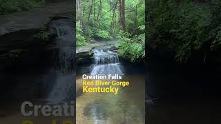 Creation Falls in the Red River Gorge #shorts #RRG #waterfall