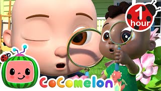 I Spy with My Little Eye | CoComelon | It's Cody Time | Kids Songs & Nursery Rhymes