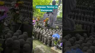 Hasedera Temple in Kamakura #exploringjapan #indianinjapan #bengalivlog #thebongthanos #travelvlog